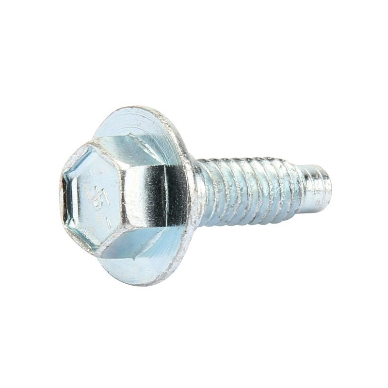Vite del carter motore Briggs e Stratton - 793376