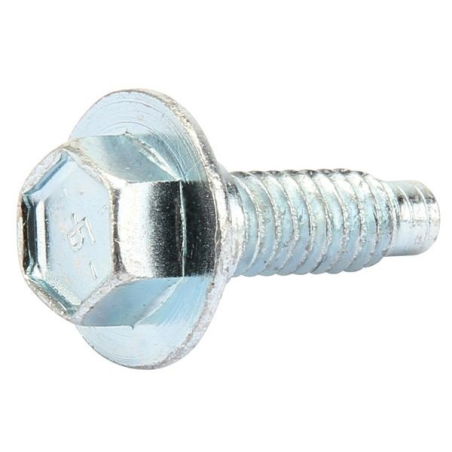 Briggs and Stratton engine crankcase screw