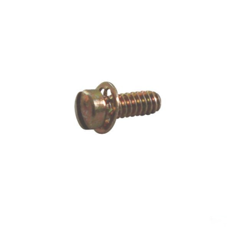 Vite del coperchio della membrana del carburatore Briggs e Stratton