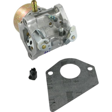 Carburador autopropulsado con motor Briggs & Stratton