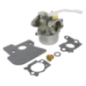 Carburatore tosaerba motore Briggs e Stratton - 694203
