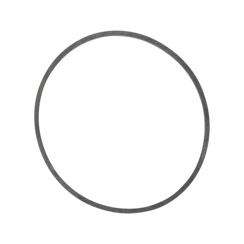 Guarnizione vaschetta carburatore Nikki motore Briggs et Stratton - 694920