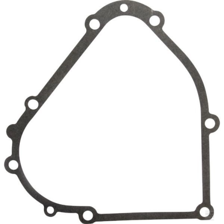 Kurbelgehäusedichtung für Motorpinne von Briggs & Stratton