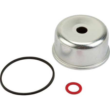 Serbatoio del carburatore del tosaerba con motore Briggs & Stratton