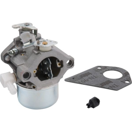 Carburatore semovente con motore Briggs & Stratton