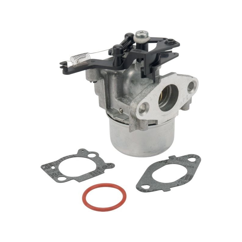 Carburador de motor de passeio Briggs and Stratton - 799479