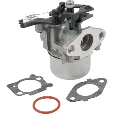 Carburateur moteur autoportée Briggs et Stratton - 799479