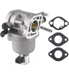 Carburatore per motore cavalcabile Briggs & Stratton