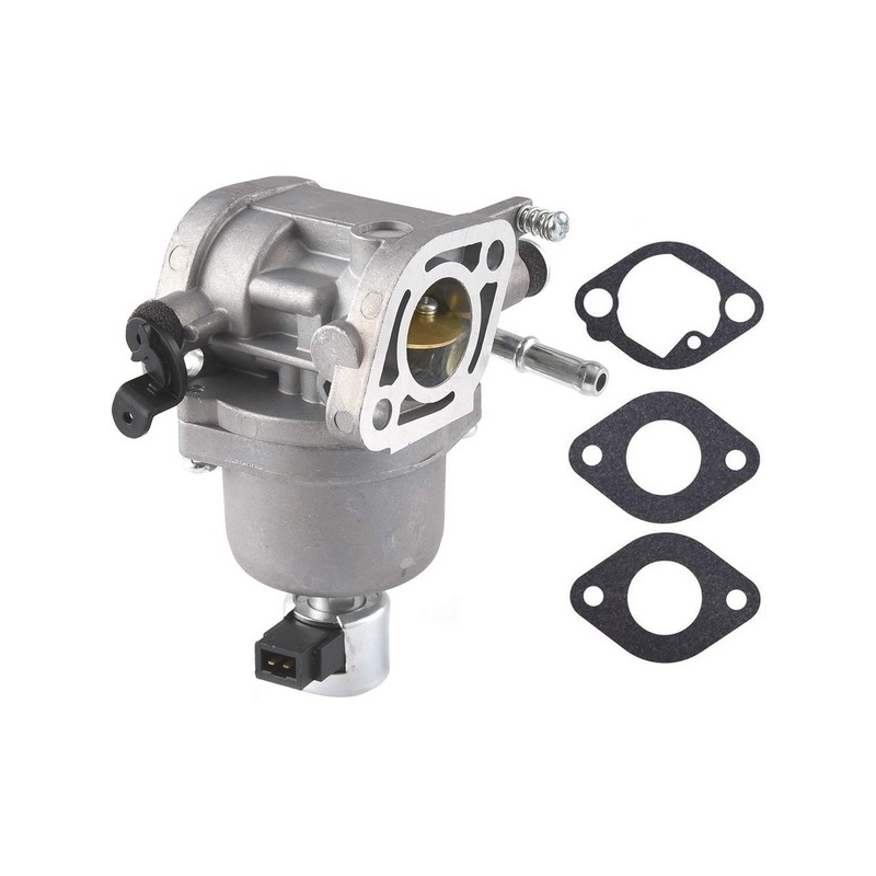 Carburatore motore trattorino Briggs e Stratton - 699807