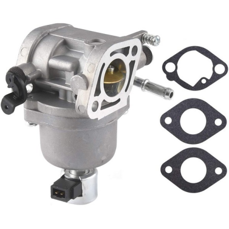 Carburateur moteur autoportée Briggs et Stratton - 699807