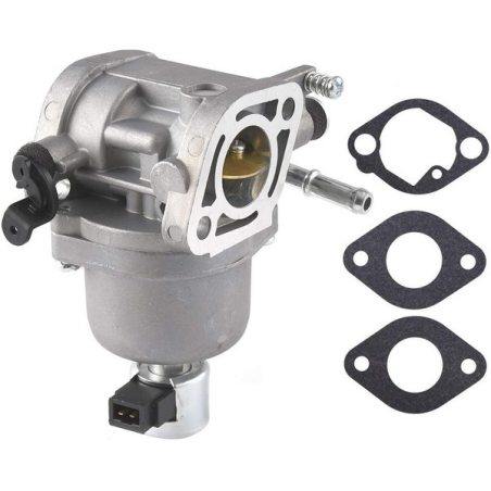 Carburatore per motore cavalcabile Briggs & Stratton