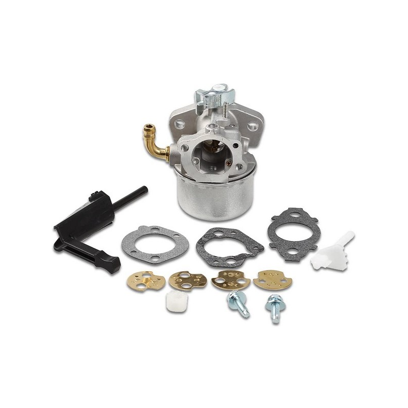 Vergaser für Briggs und Stratton Motor - 798654