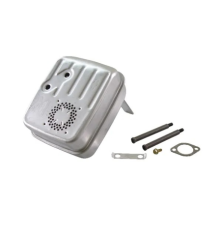 Escape del motor con conductor Briggs and Stratton 2