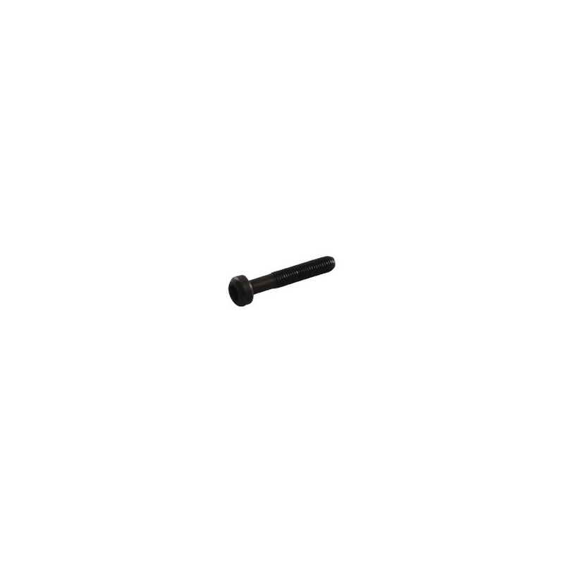 Vis de fixation de bielle moteur autoportée Briggs et Stratton - 791118