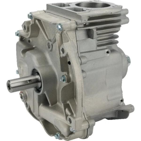 Bloque motor cortacésped Briggs and Stratton DOV 62x22