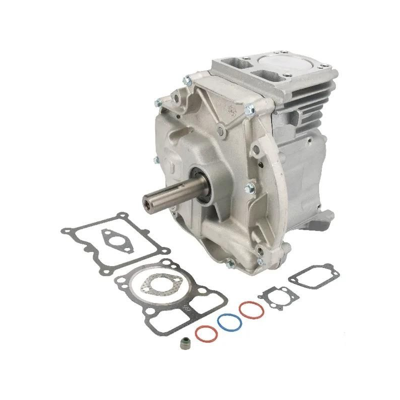 Bloco do motor do cortador de relva DOV 80x22,2 Briggs e Stratton - 795156A