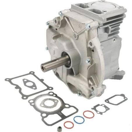 Bloc moteur tondeuse DOV 80x22,2 Briggs et Stratton - 795156A