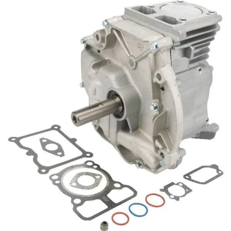Bloque motor cortacésped Briggs and Stratton DOV 80x22