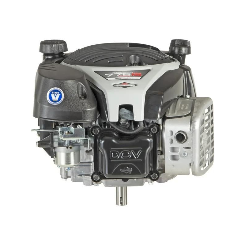 775 EX iS lawn mower engine 5 hp 22.2 x 80 mm Briggs and Stratton 1006050040