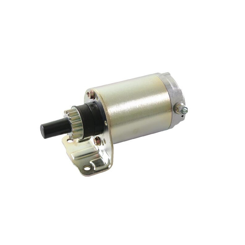 Avviamento in metallo Briggs and Stratton a 15 denti - 691564