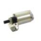 Metalen startmotor 15 tanden Briggs et Stratton - 691564