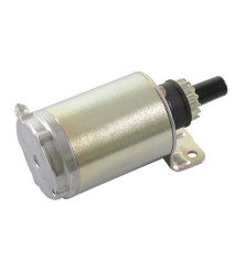 Briggs and Stratton 15-Zahn-Metallstarter – 691564 2