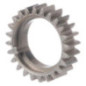 Kurbelwellen-Zahnrad Briggs und Stratton - 790345