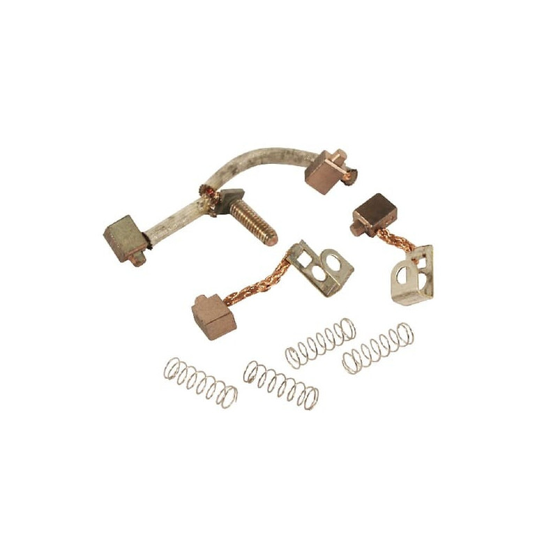 Spazzole Briggs e Stratton - 496813