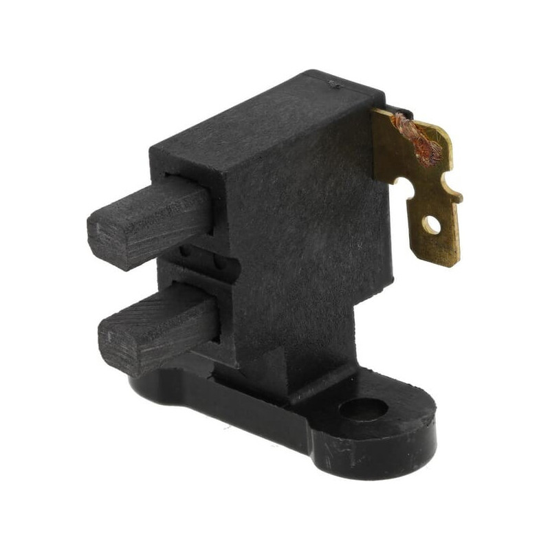 Spazzole di carbone Briggs e Stratton - 103650GS