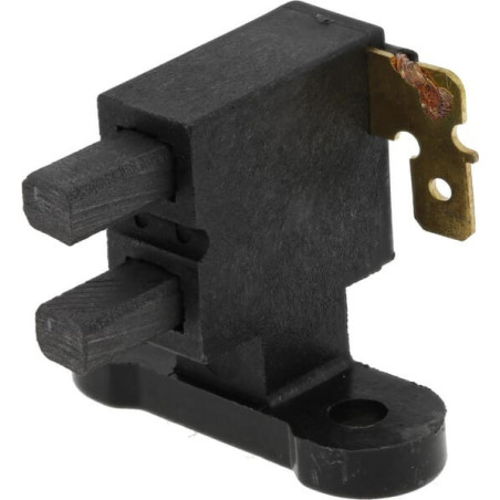 Spazzole di carbone Briggs e Stratton - 103650GS