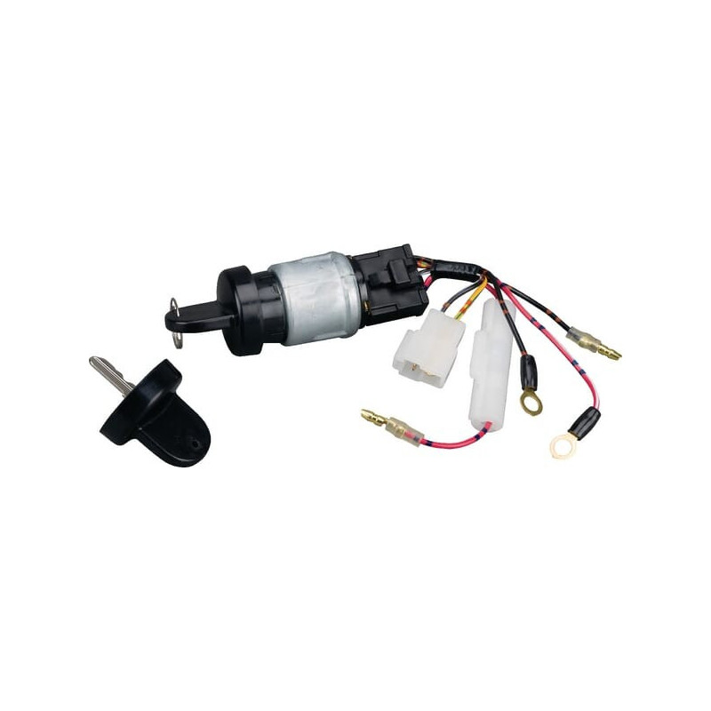 Contacteur à clé Briggs et Stratton - 712118