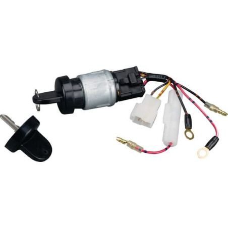 Interruptor de llave Briggs and Stratton - 712118