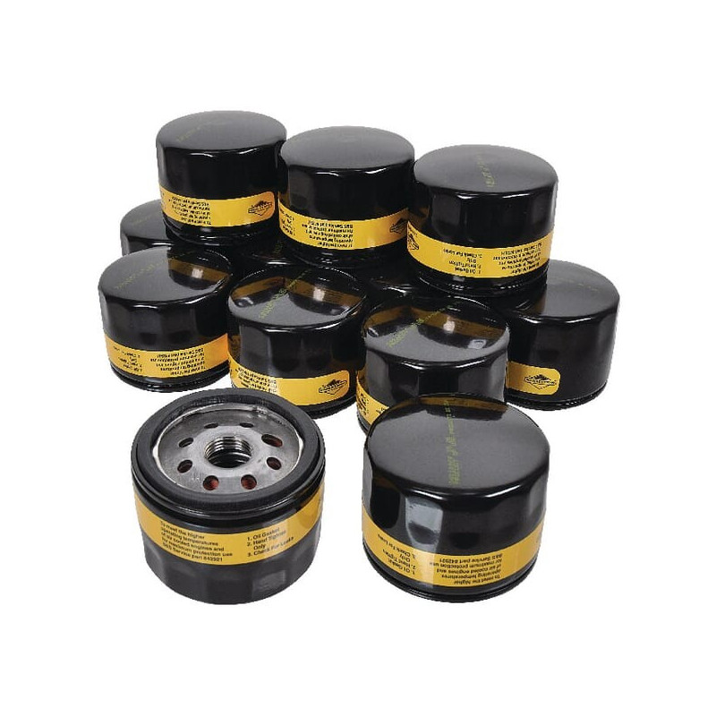 Oliefilters 12 x 842921 Briggs en Stratton - 4237