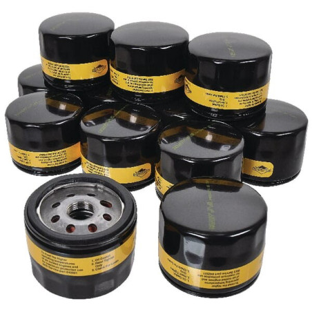 Filtros de aceite 12 x 842921 Briggs and Stratton - 4237