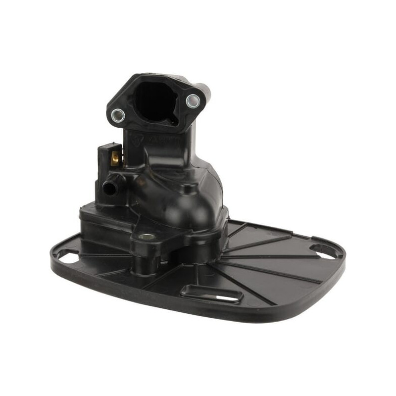 Socle de filtre à air Briggs et Stratton - 799831