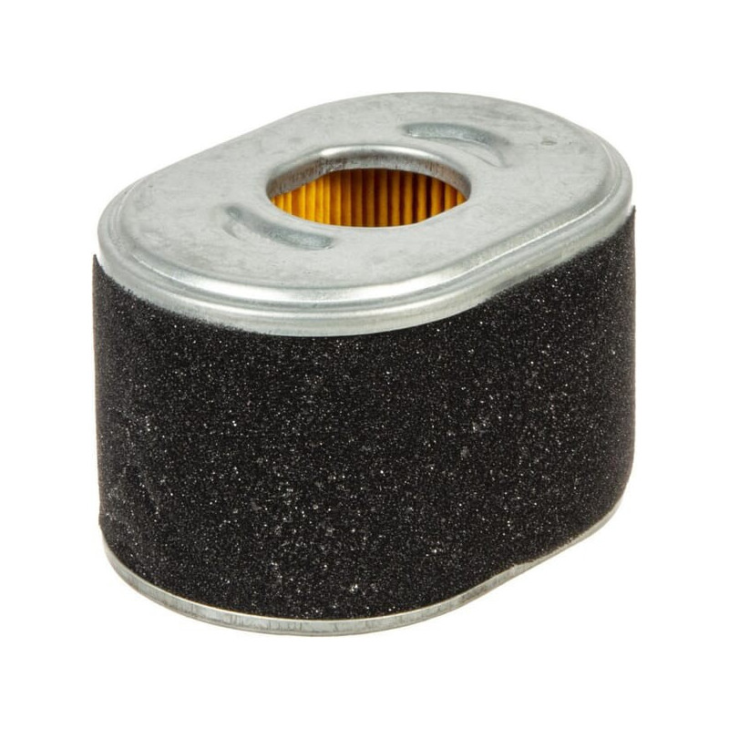 Filtro purificador de aire Briggs and Stratton - 594146