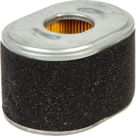 Filtro purificador de aire Briggs and Stratton - 594146