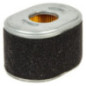 Briggs und Stratton Luftreinigerfilter – 594146
