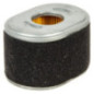 Filtro purificador de aire Briggs and Stratton - 594146