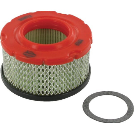 Filtre à air rond Briggs et Stratton - 797819