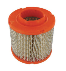 Filtro dell'aria Briggs e Stratton - 845090