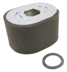 Filtre à air Briggs et Stratton - 799818