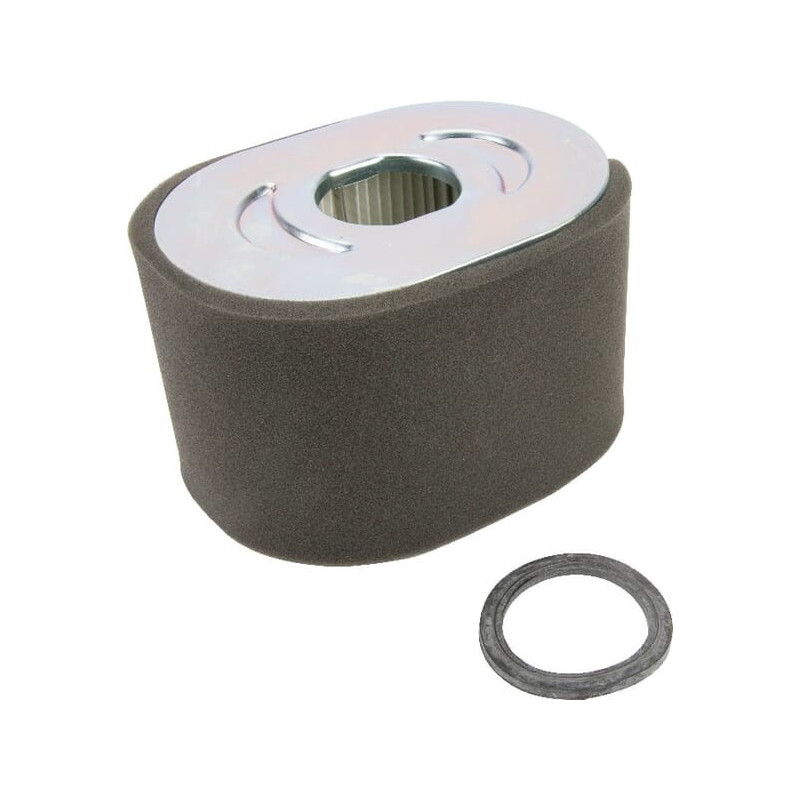 Briggs und Stratton Luftfilter – 799818