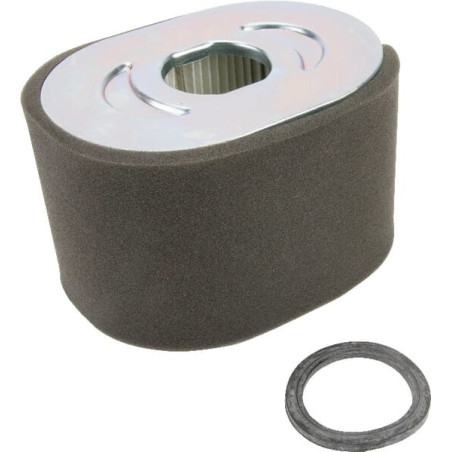 Filtro dell'aria Briggs e Stratton - 799818