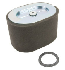 Briggs und Stratton Luftfilter – 799818 2