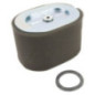 Filtro dell'aria Briggs e Stratton - 799818