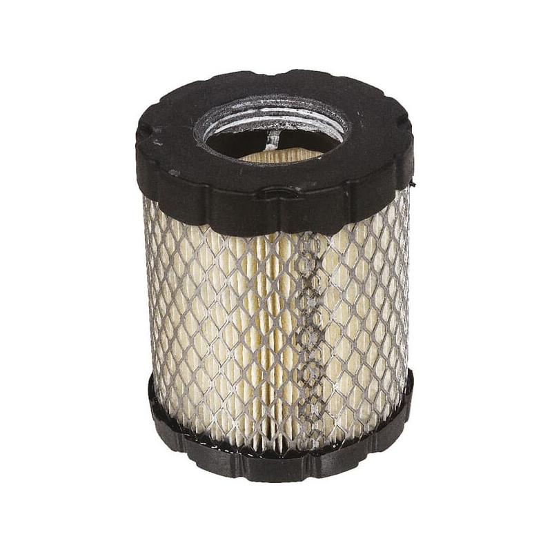 Filtro de ar Briggs e Stratton - 798897