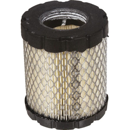 Filtro de ar Briggs e Stratton - 798897