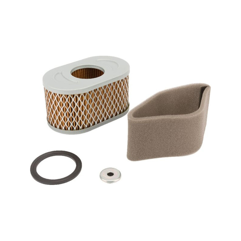 Briggs und Stratton Luftfilter – 797033