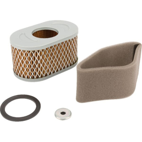 Briggs und Stratton Luftfilter – 797033